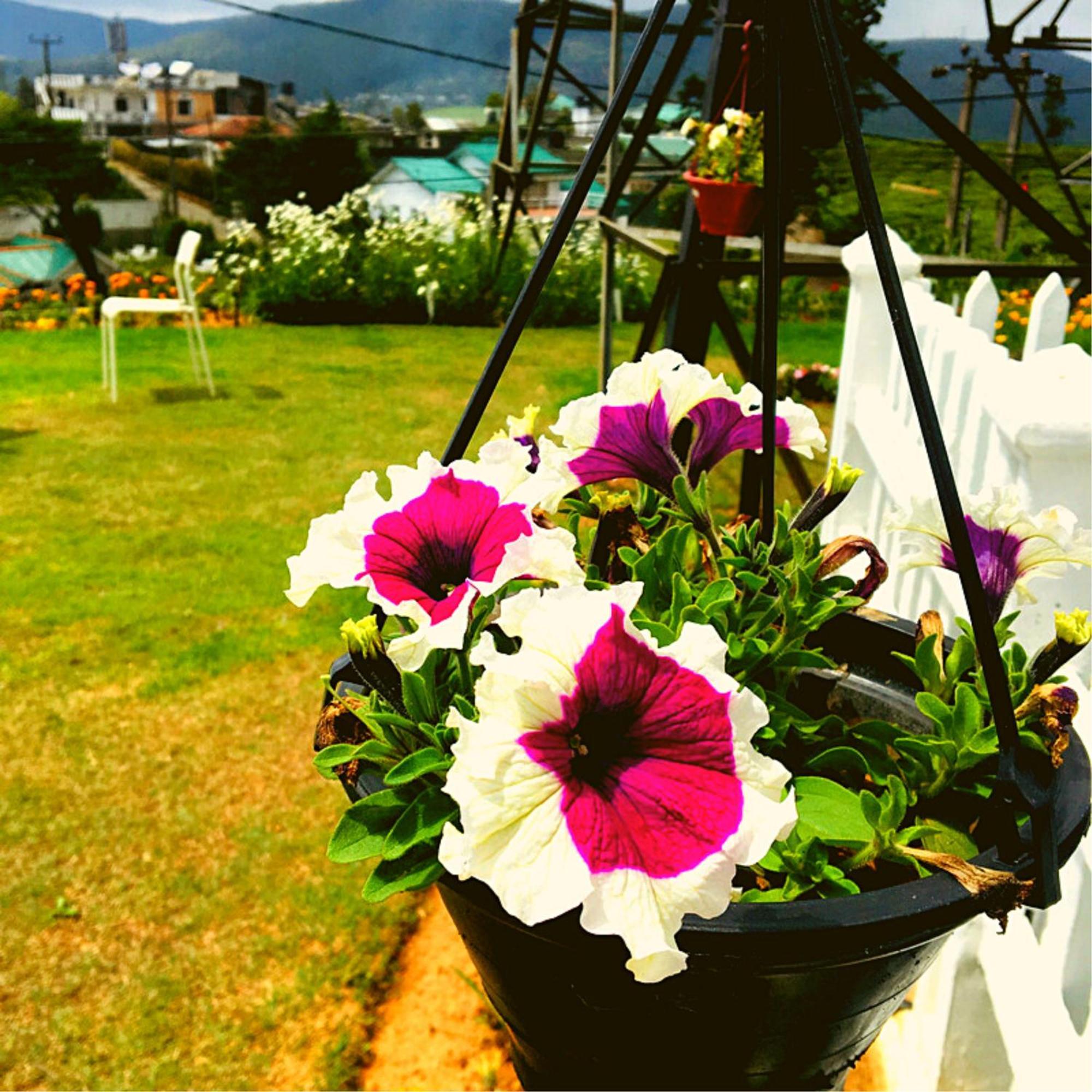 Thuring'S Holiday Bungalow Nuwara Eliya Dış mekan fotoğraf