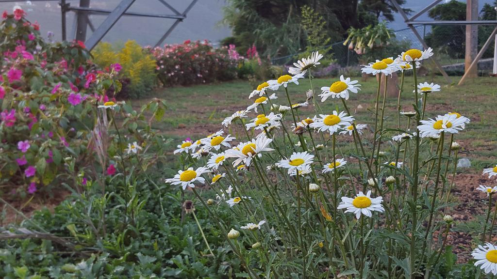 Thuring'S Holiday Bungalow Nuwara Eliya Dış mekan fotoğraf