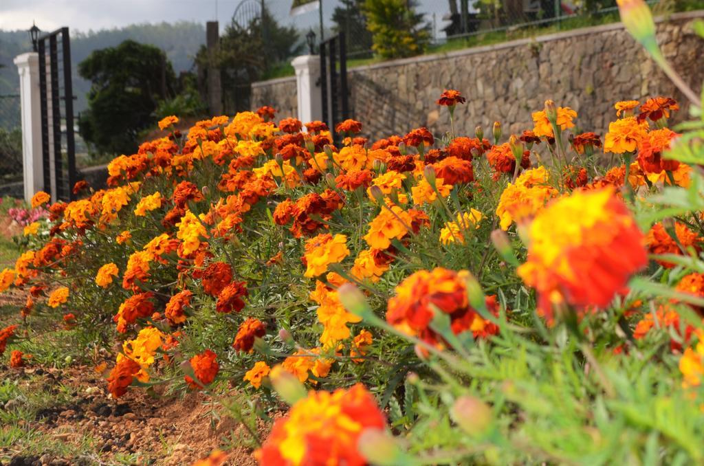 Thuring'S Holiday Bungalow Nuwara Eliya Dış mekan fotoğraf